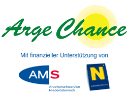 AMS NOE logo